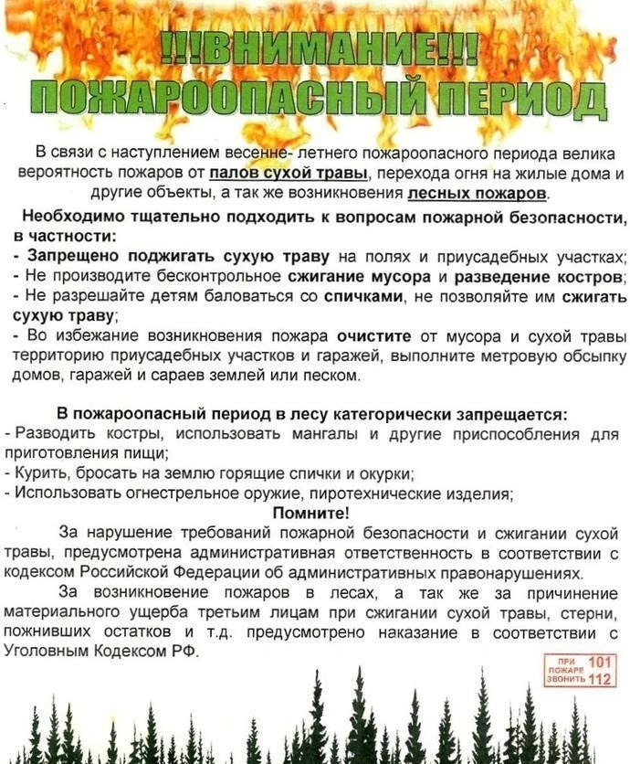 Пожарная безопасность весенний период. Памятки по пожарной безопасности в пожароопасный период.